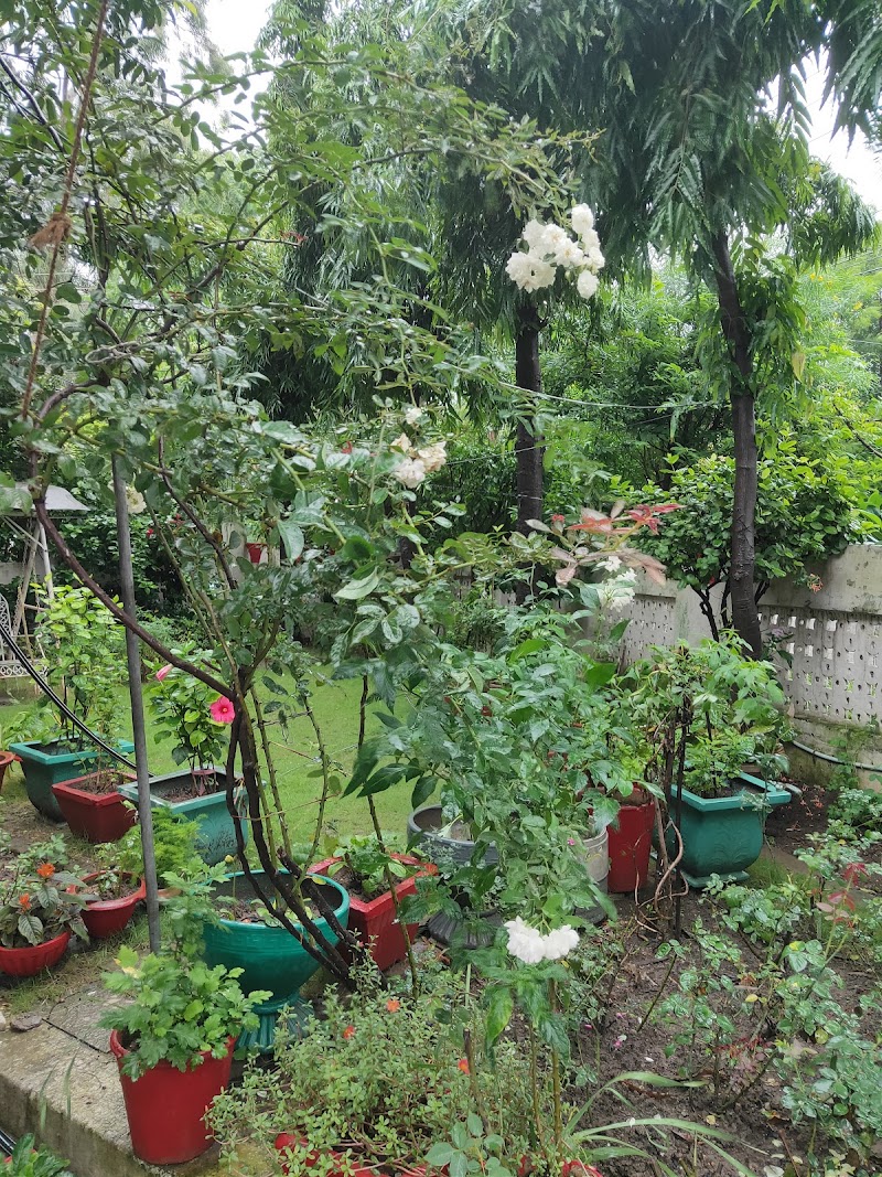 Arera Colony - Arera Colony, Bhopal, Madhya Pradesh, India