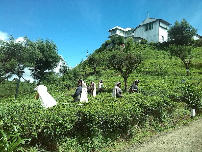 Nuwara Eliya - Nuwara Eliya Nuwara Eliya, Sri Lanka