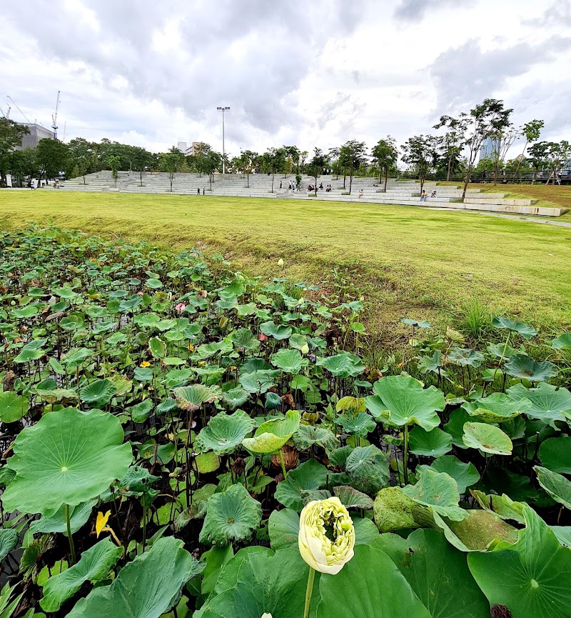 Benjakitti Forest Park - Benjakitti Forest Park PHH4+Q2, Khlong Toei, Bangkok 10110, Thailand