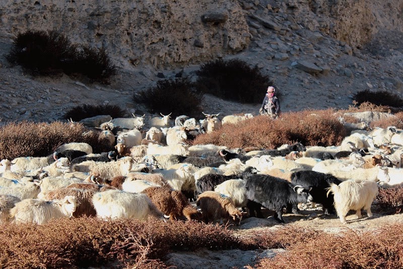 Chumathang - Chumathang 194202