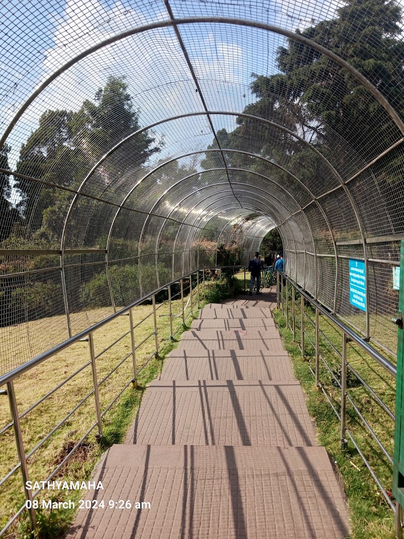 Doddabetta Ooty Highest Point - Doddabetta Ooty Highest Point RCAG Station, Airports Authority of India, T Mynalai, Ooty, Tamil Nadu 643002, India