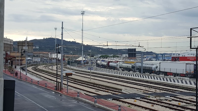 Anek Lines Italy - Anek Lines Italy, Piazza della Repubblica, 1, 60122 Ancona AN, Italy