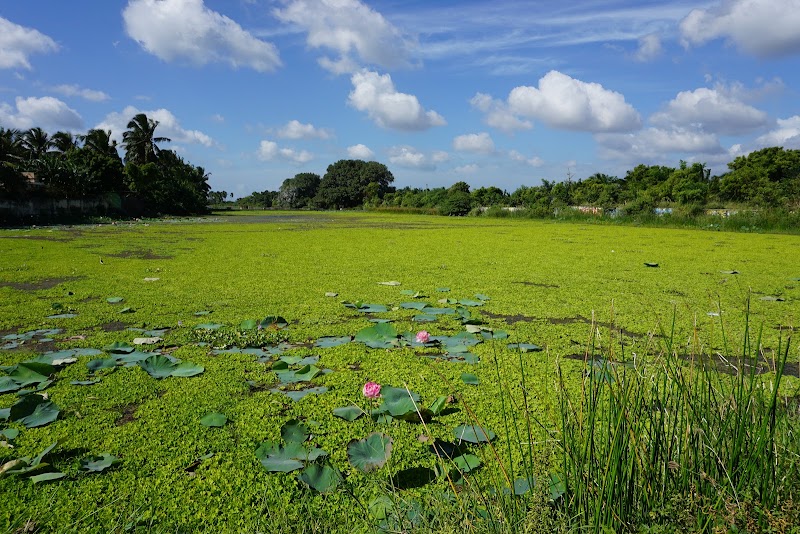 Kanniyakumari - Kanniyakumari, Tamil Nadu, India