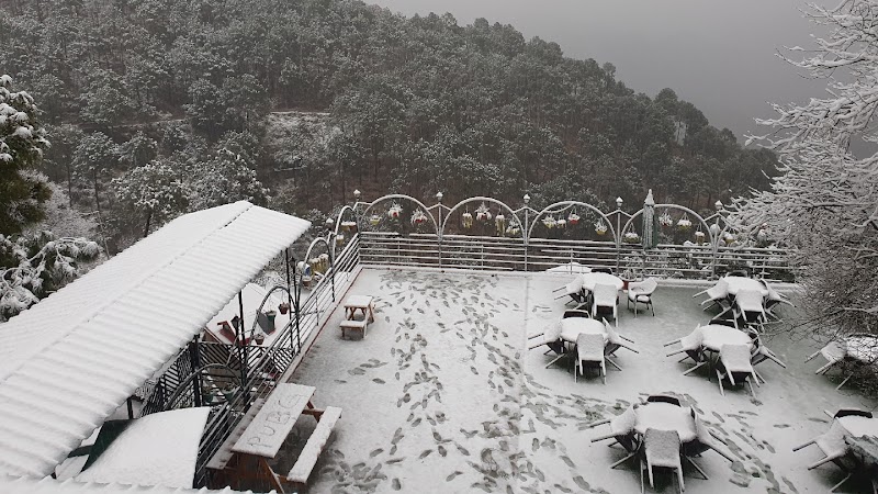 Winnies Holiday Resort & Spa Kasauli - Winnies Holiday Resort & Spa Kasauli Village Sanawar on Main Dharampur Kasauli Road 1 Km after Pinegrove School Sanawar Resorts, Sanawar, Tehsil, Kasauli, Himachal Pradesh 173202, India