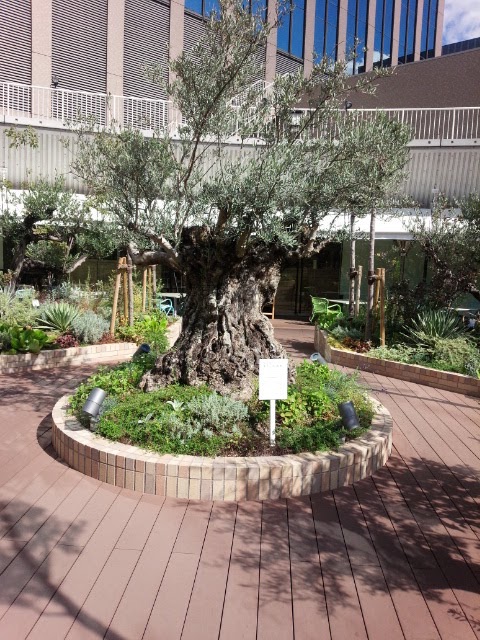 Kobe International House - Kobe International House, 8-chōme-1-6 Gokōdōri, Chuo Ward, Kobe, Hyogo 651-0087, Japan