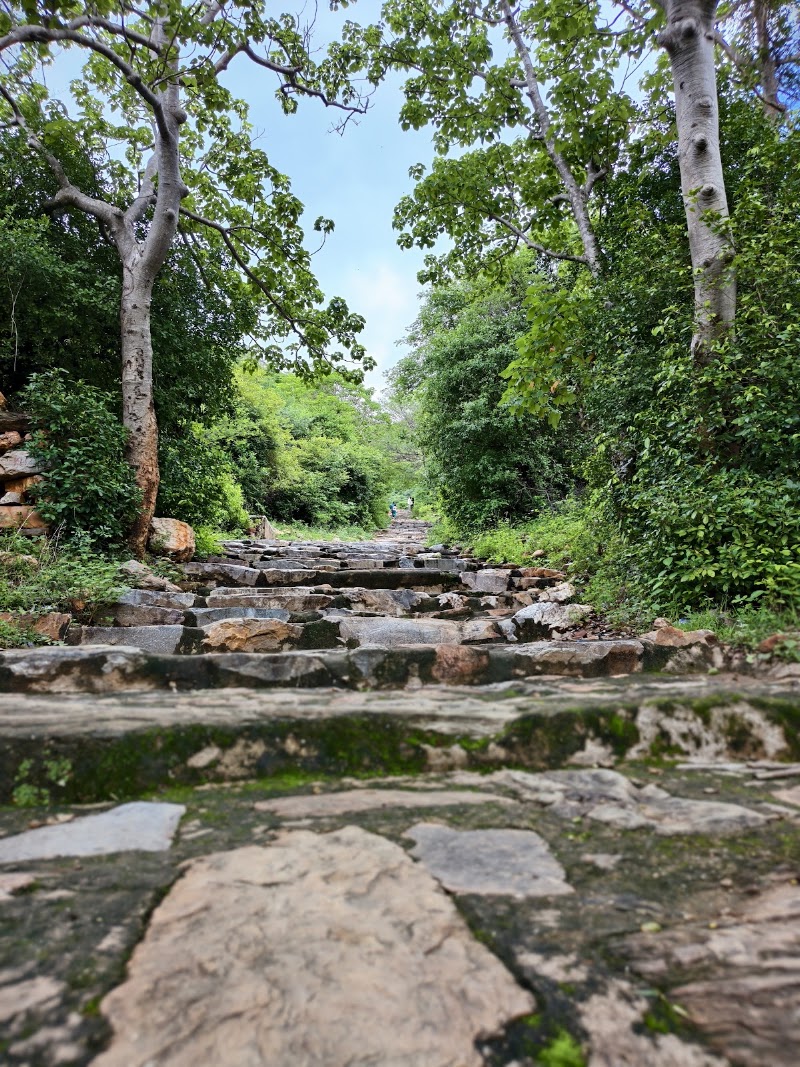 The Udayagiri Fort - The Udayagiri Fort, V78G+44X, Coastal Andhra Region, Siddavaram, Pullayapalle, Andhra Pradesh 524226, India