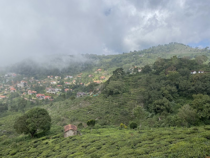 GO KOTAGIRI TOURISM - GO KOTAGIRI TOURISM 5/8 A2, GoKotagiri Lounge, Pandian Park State Highway 15 Nihung Post, Ooty, Highway, Kotagiri, Tamil Nadu 643217, India