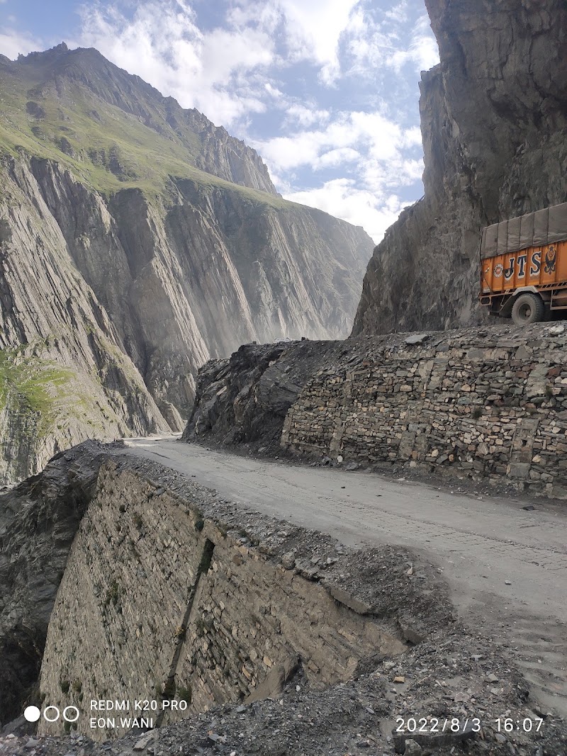 Zojila Pass - Zojila Pass, Forest Block 191202