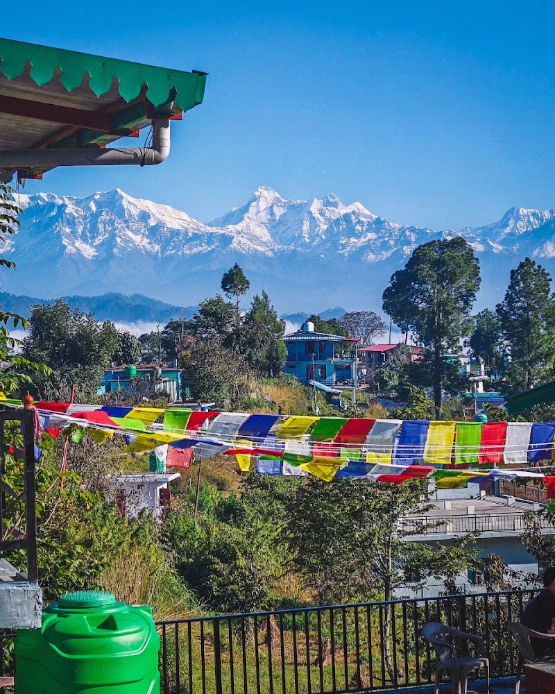 Kasar Devi Official - Kasar Devi Official Kasar Devi Official, Kasar Devi, Almora, Mat, Uttarakhand 263601, India