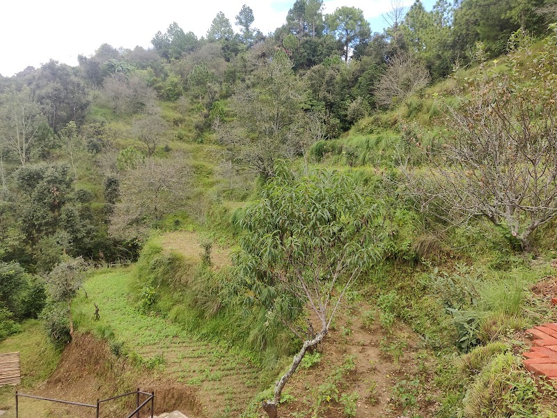 Orchard Hill Retreat - Orchard Hill Retreat, Village Chaukhuta, Post Kasiya Lekh, Tehsil Dhari, Mukteshwar, Gajar, Uttarakhand 263136, India