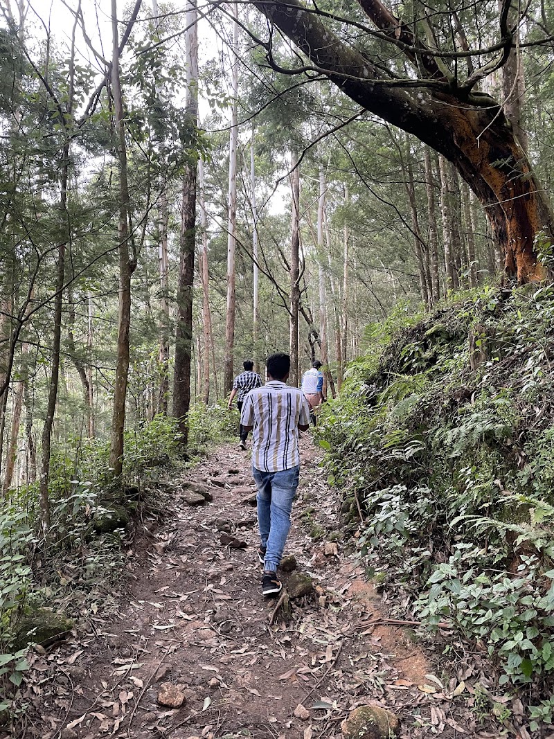 GoCamp - GoCamp, Suryanelli, Base camp of kolukkumali, Munnar, Suryanelli, Kerala 685618, India