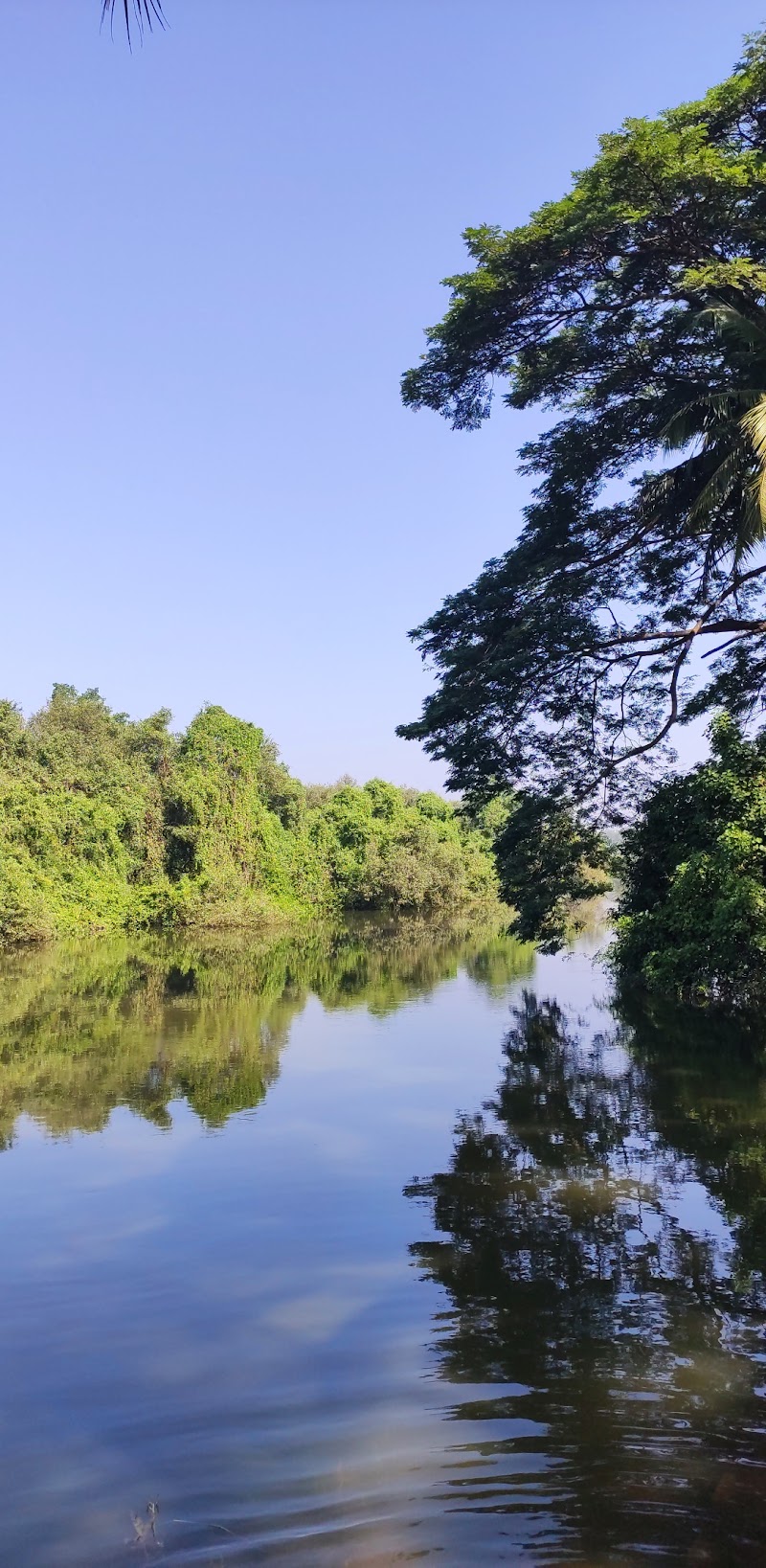 Moide - Moide, Goa, India