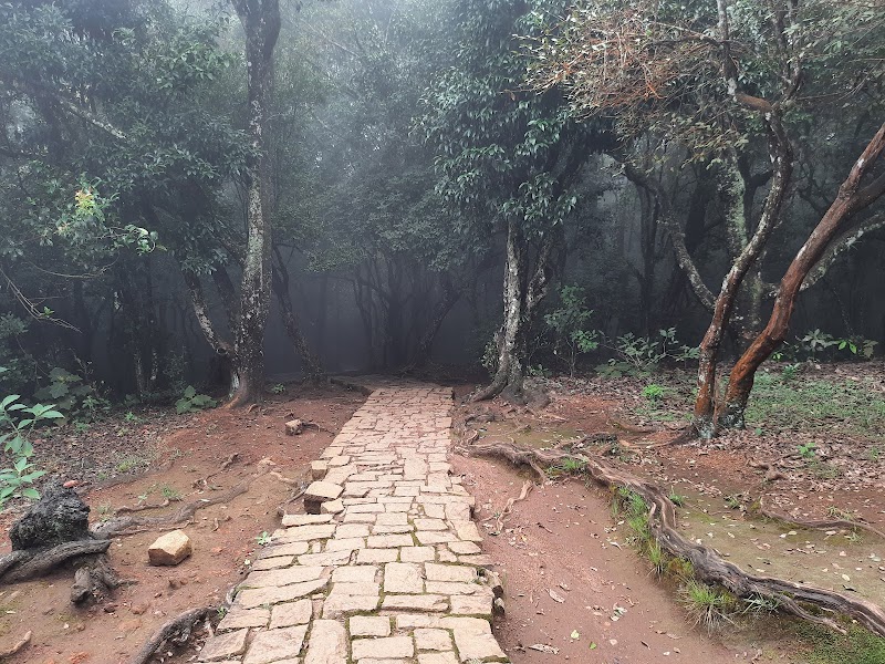 Lamb's Rock - Lamb's Rock Burliyar, Tamil Nadu 643102, India