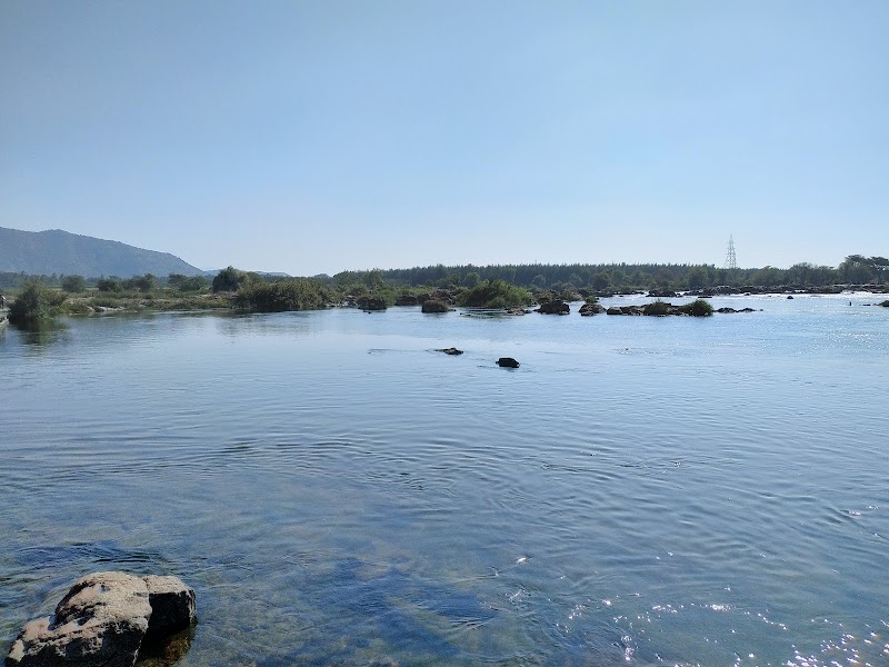 Cauvery Split Katte