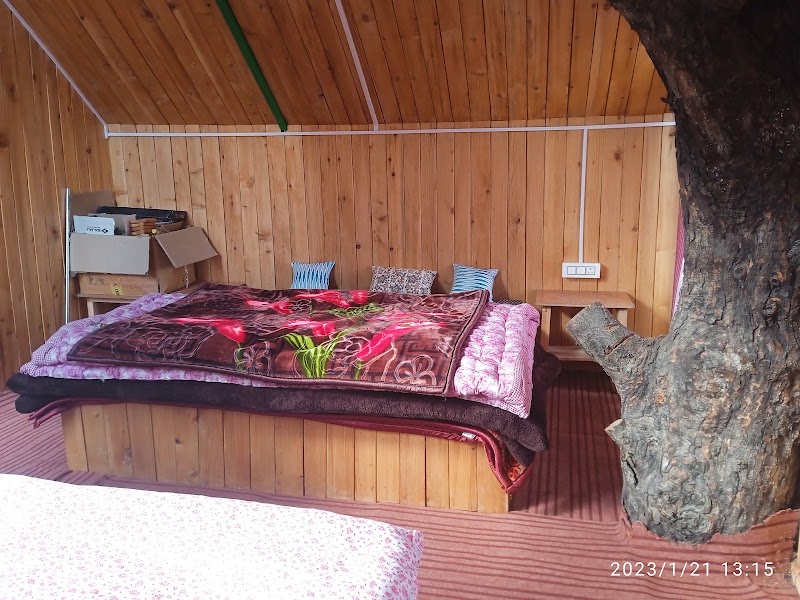 Jibhi Market - Jibhi Market Bus Stop, 305, National Highway, Jibhi, Rashala, Himachal Pradesh 175123, India