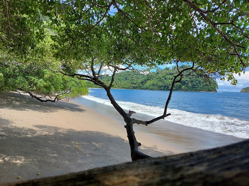 Manuel Antonio Nature Reserve & Wildlife Refuge - Manuel Antonio Nature Reserve & Wildlife Refuge, 9VR3+9WW Hotel Si Como No, Provincia de Puntarenas, Quepos, Costa Rica