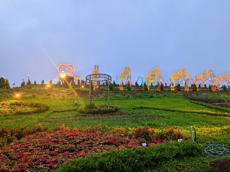 Vagamon Flower Garden - Vagamon Flower Garden Adventure Park, Vedikuzhi, Vagamon, Keralam 685501, India