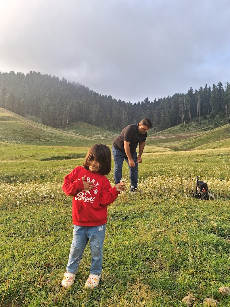 Gulmarg Tours - Gulmarg Tours Golf View Hut, Green Heights, near Hotel Kolahoi, Gulmarg, 193403