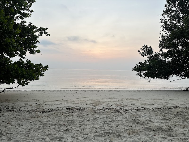 Andaman Bliss - Best DMC & B2B Supplier for Andaman Tour Packages - Andaman Bliss - Best DMC & B2B Supplier for Andaman Tour Packages 2nd Floor, Foreshore Rd, Phoenix Bay, Sri Vijaya Puram, Andaman and Nicobar Islands 744102, India