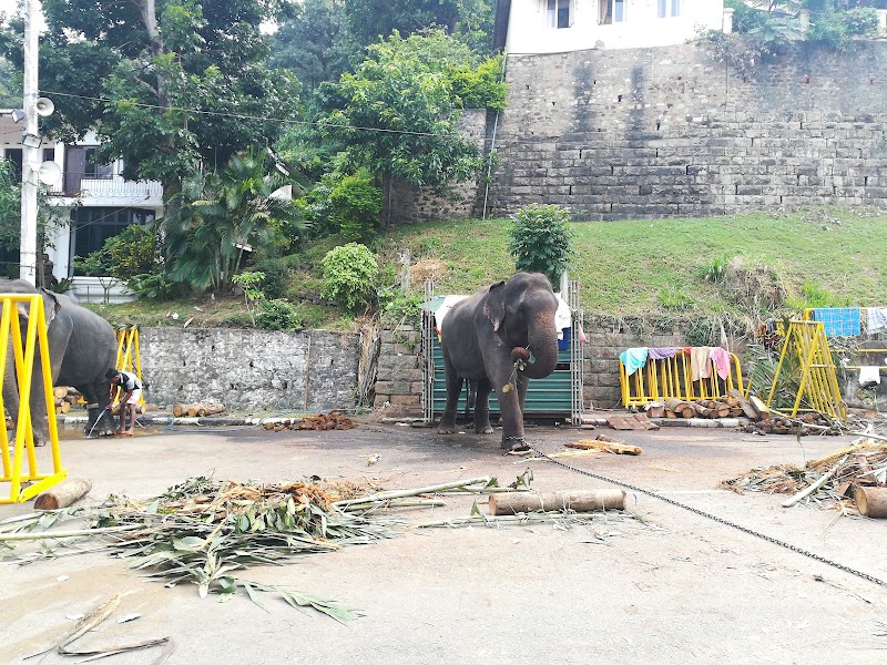 Sri Dalada Veediya - Sri Dalada Veediya, Kandy, Sri Lanka