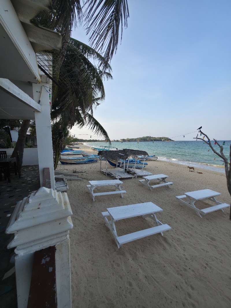 Dutch Bay Beach Cottages