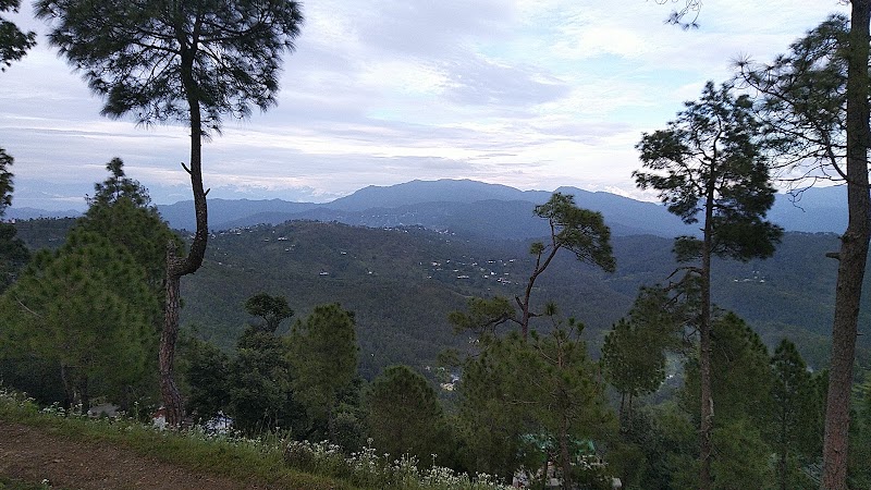 Hippie Hill - Hippie Hill JMR7+2HM, Mat, Uttarakhand 263601, India