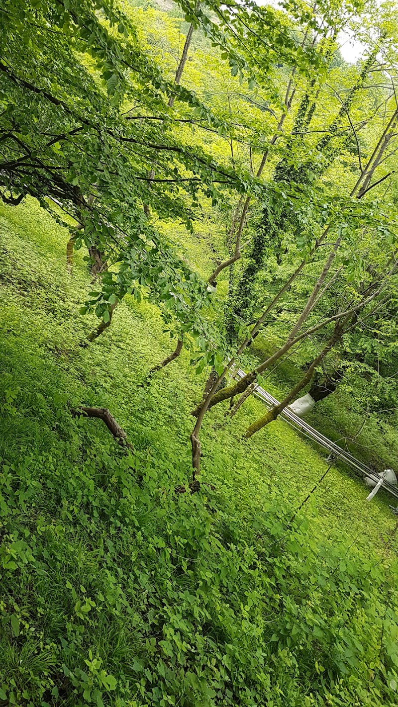 Siyahdaran Forest Park - Siyahdaran Forest Park, Gilan Province, سیادران, خیابان ساحل دریای هشتپر، پارک جنگلی سیاهداران، Iran