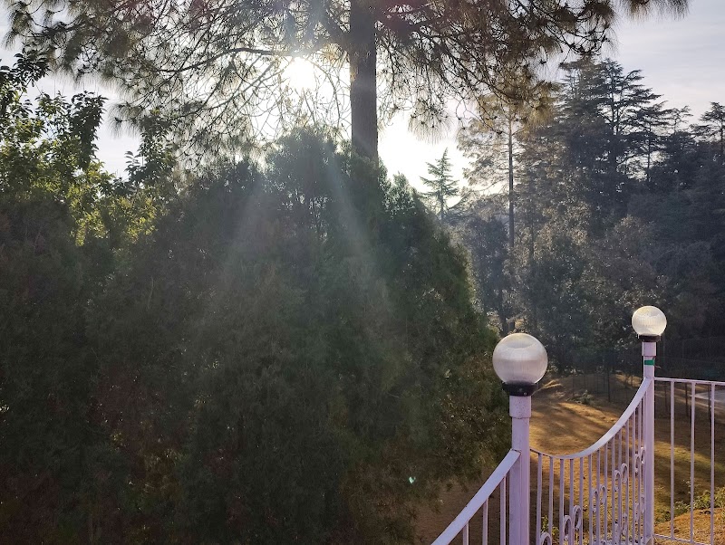 Deepali Astro - Deepali Astro, T2/Tower 1, 404, Pine Oak Paradise, Shyamkhet, Bhowali, Sukha, Uttarakhand 263132, India