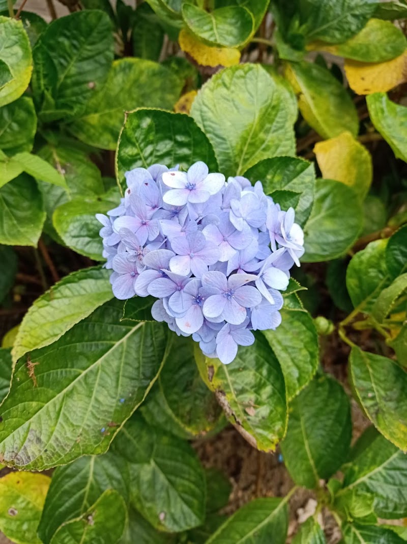 Aldur - Aldur, Karnataka, India