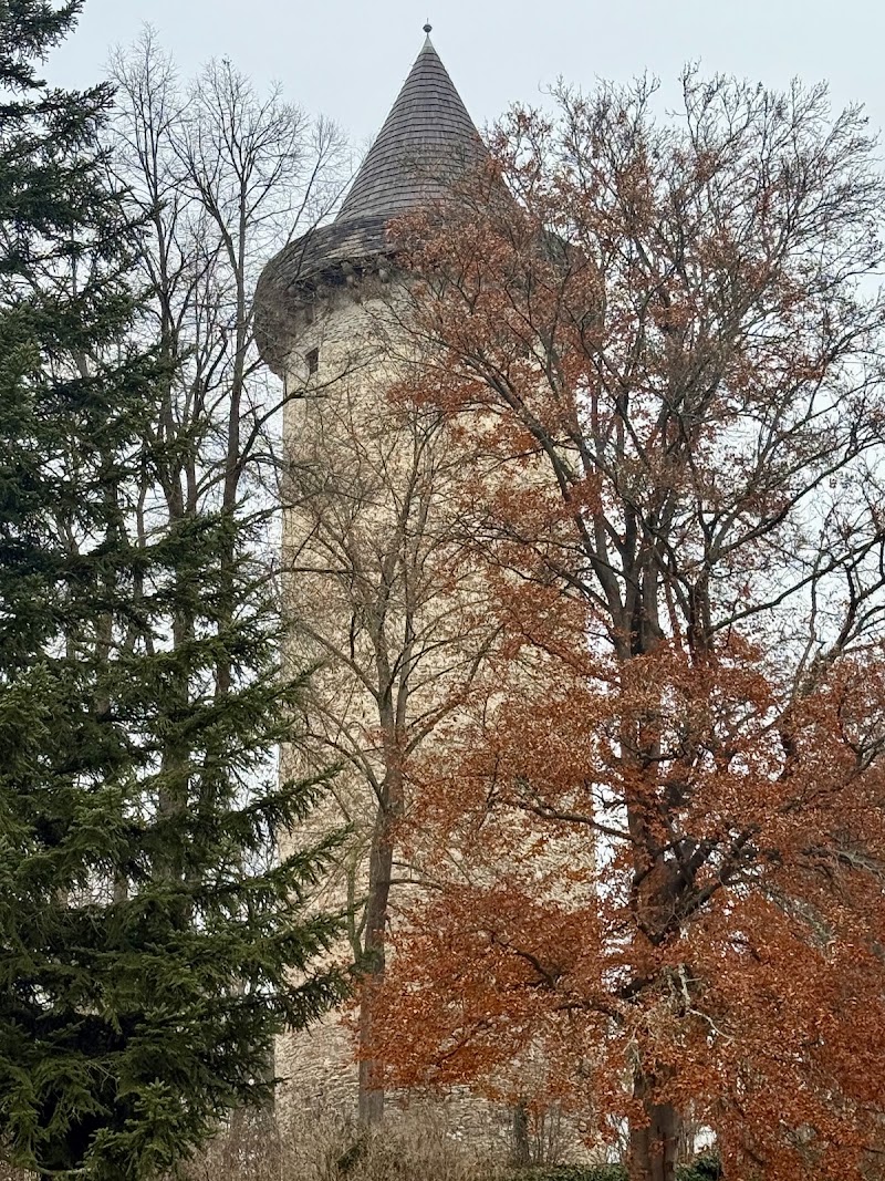 Věž Jakobínka - Věž Jakobínka, Rožmberk nad Vltavou 111, 382 18 Rožmberk nad Vltavou, Czechia