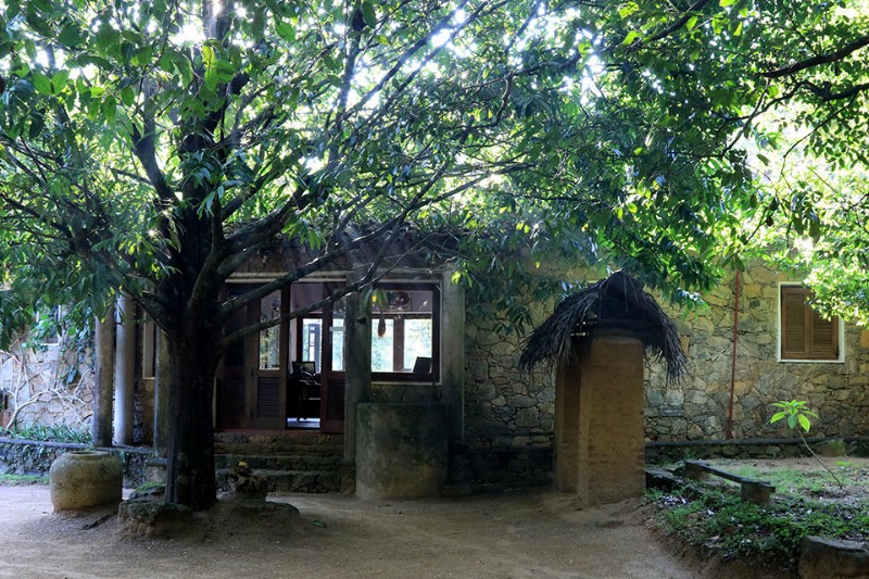 Popham's Arboretum