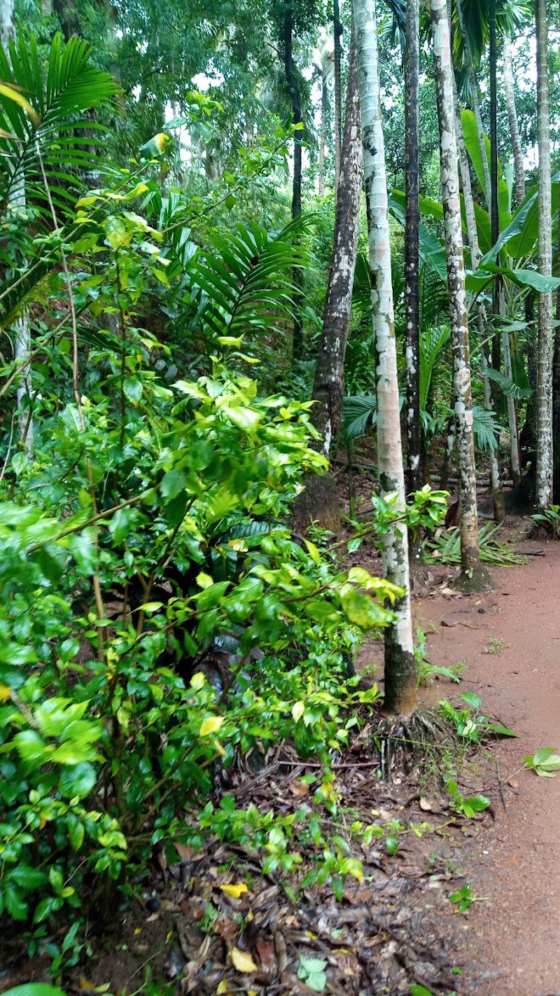 Sahakari Spice Plantation - Sahakari Spice Plantation C25F+PGV, Unnamed Road, Prabhu Nagar, Ponda, Goa 403401, India