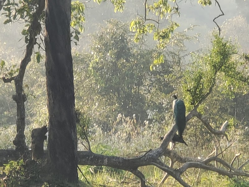 Wayanad - Wayanad Wayanad, Kerala, India