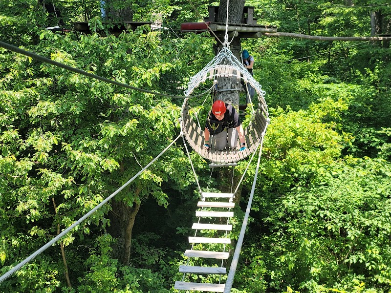 Waldseilpark Kahlenberg - Waldseilpark Kahlenberg, Josefsdorf 47, 1190 Wien, Austria