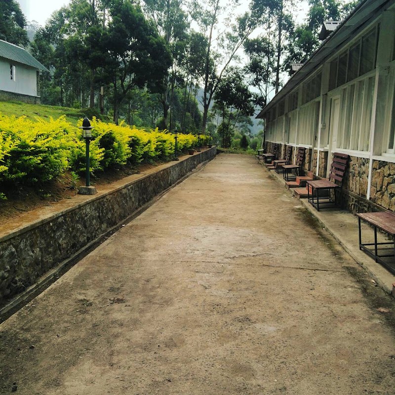 Green Jungle Holiday Resort - Green Jungle Holiday Resort, MUNNAR CATERING COLLEGE, Bodimethu to Suryanallei, Munnar, Suryanelli, Kerala 685618, India