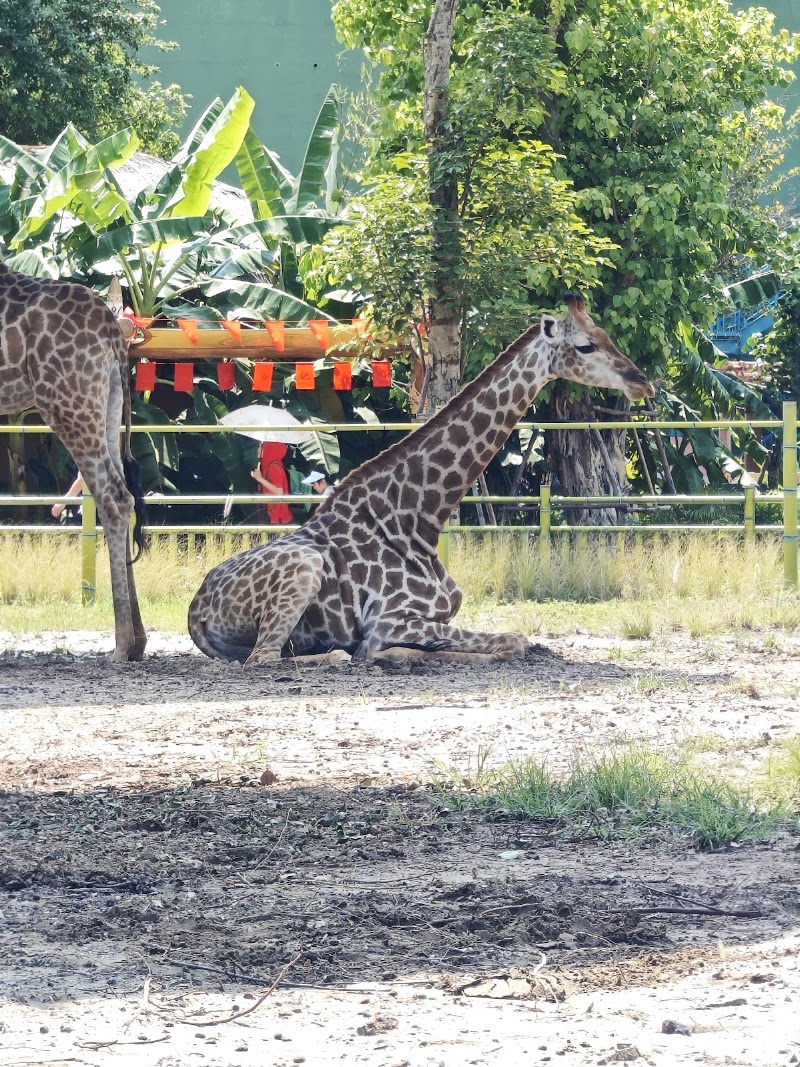 VinWonders Vũ Yên - VinWonders Vũ Yên, Đảo, Thủy Nguyên, Hải Phòng 180000, Vietnam
