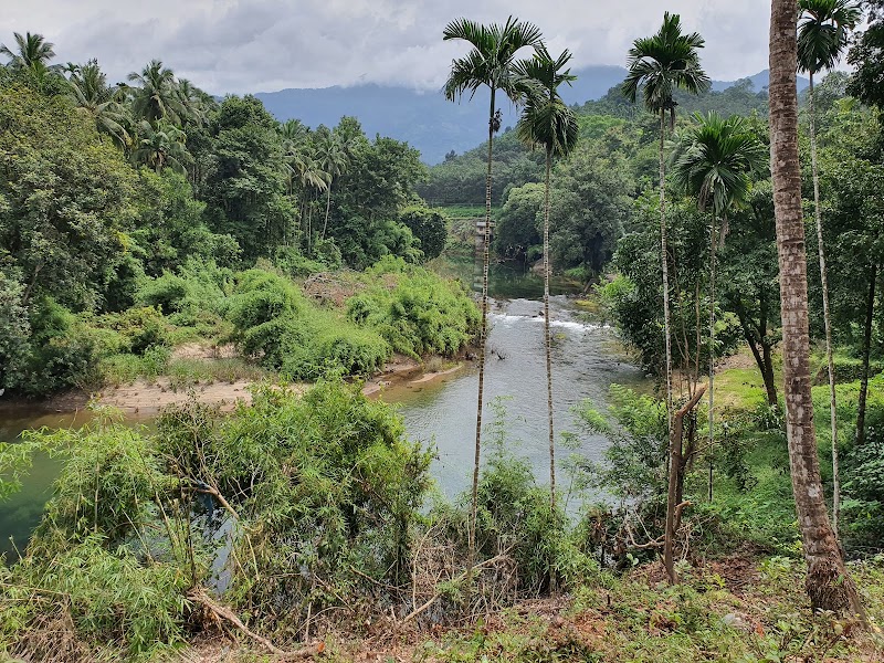 Iruvanjippuzha - Iruvanjippuzha Iruvanjippuzha, Kerala 673661