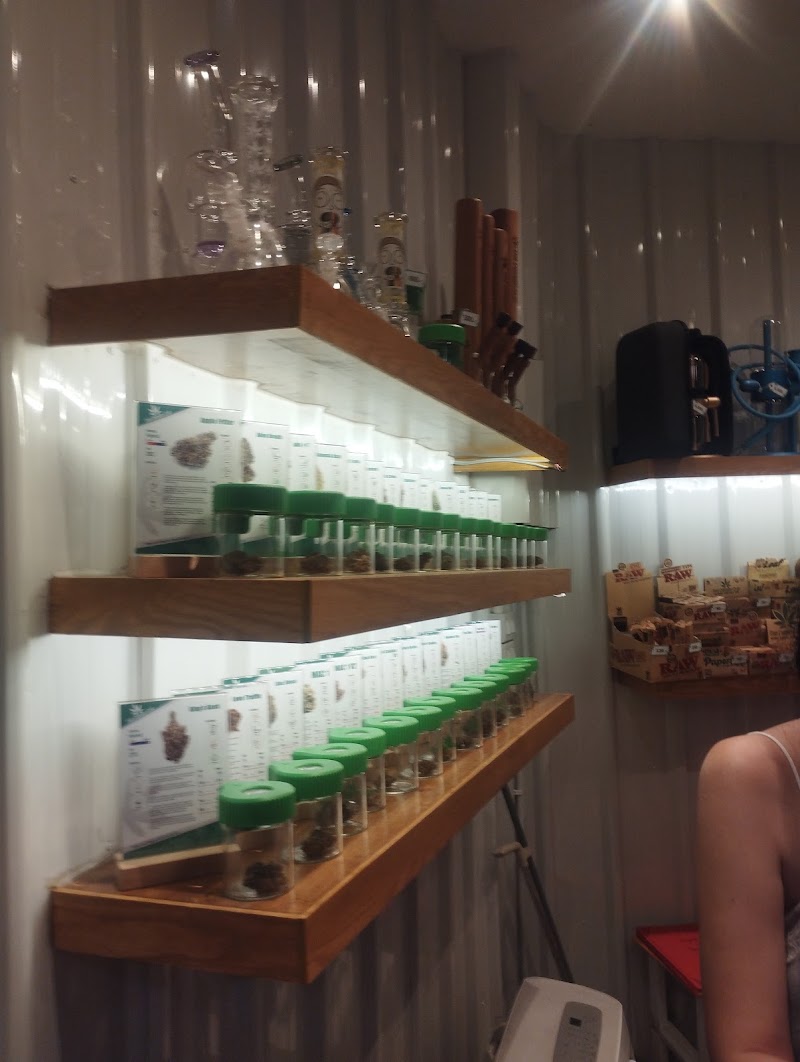 Thai Cannabis Club - Soi 7 - Thai Cannabis Club - Soi 7, Soi Sukhumvit 7, Khwaeng Khlong Toei, Watthana, Krung Thep Maha Nakhon 10110, Thailand