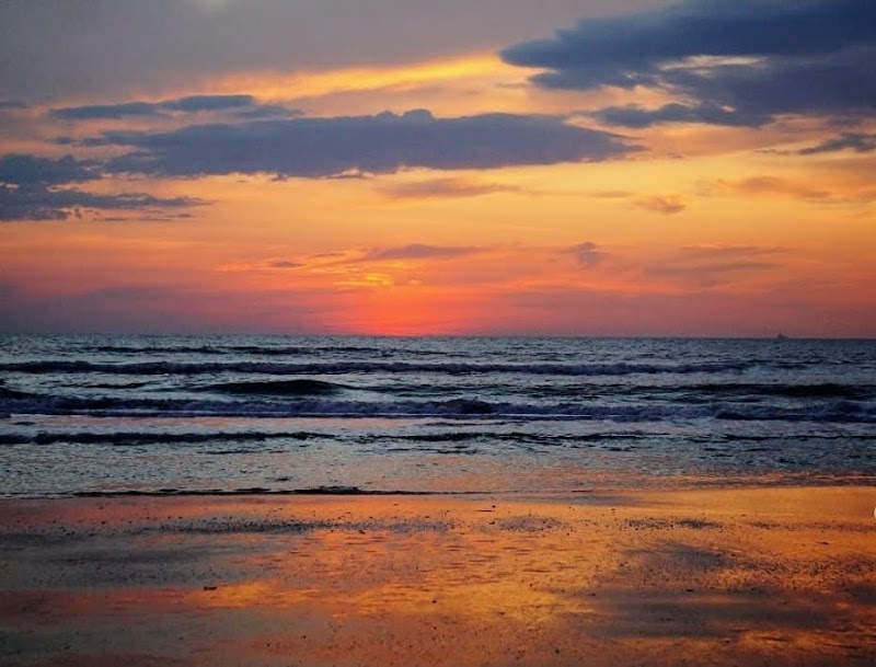 Panambur Beach - Panambur Beach, India