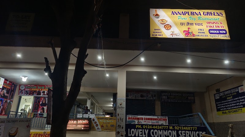 Annapurna Greens Veg Restaurant - Annapurna Greens Veg Restaurant H. No. -520, AG-104, near Radha Krishna Mandir Road, Ambedkar Colony, Sector-28, Chakkarpur, Gurugram, Haryana 122002, India