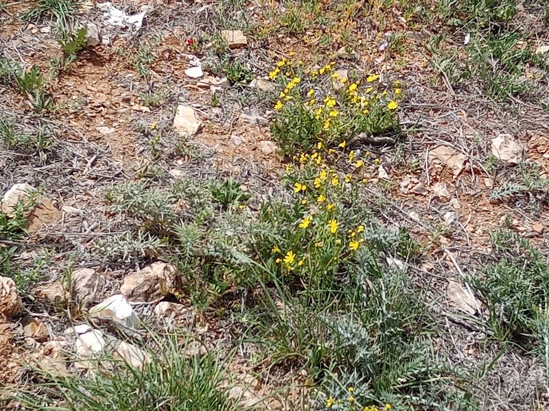 Al-Mazar - Al-Mazar, Jordan
