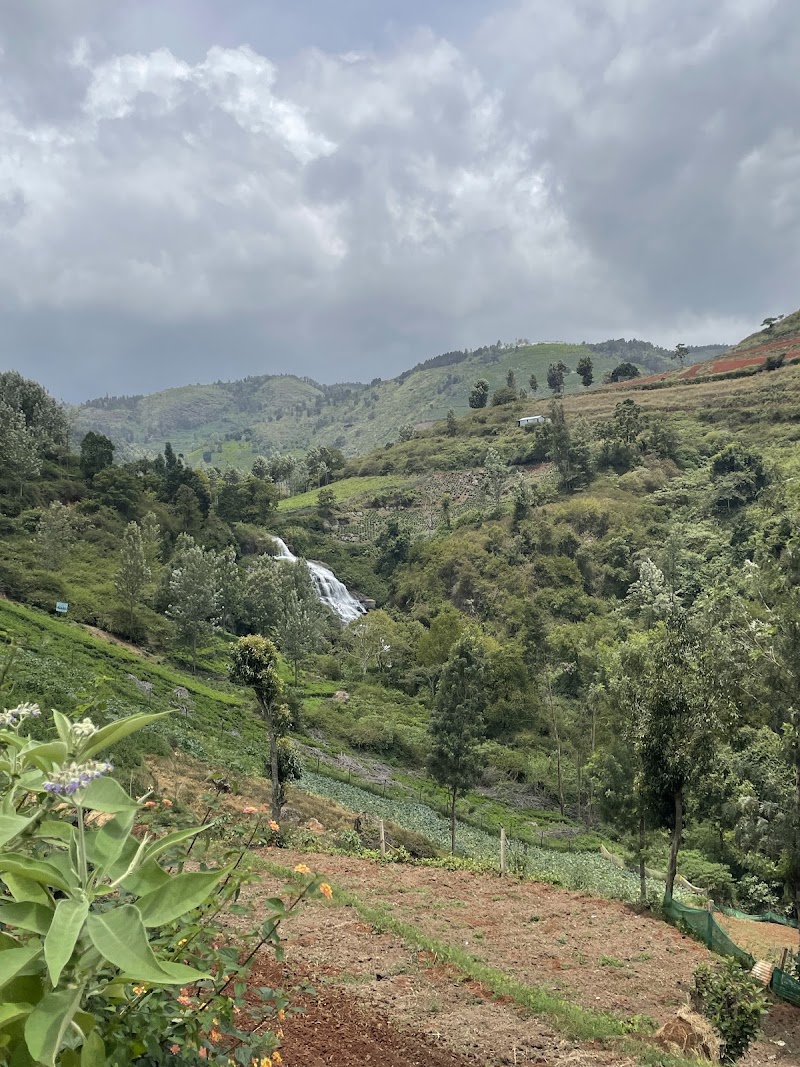 Uyilatty water falls view point