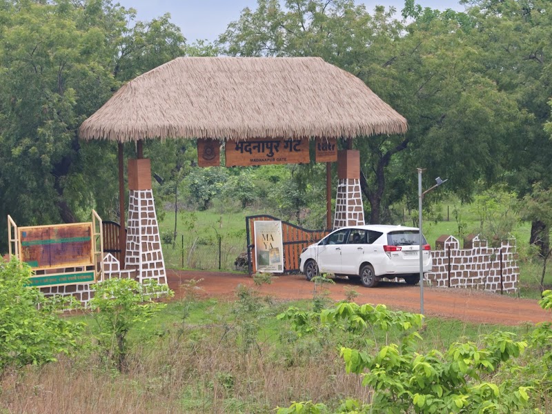 Madnapur Gate Tadoba (Buffer Zone) - Madnapur Gate Tadoba (Buffer Zone) 9CQ6+4Q8, Madnapur Tukum, Madnapur, Maharashtra 442903, India