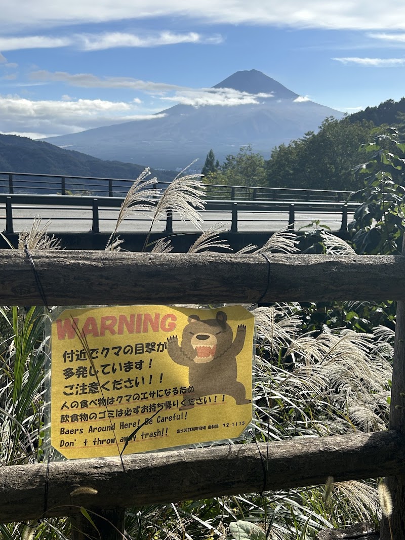 Fujimibashi Mount Fuji Viewing Platform - Fujimibashi Mount Fuji Viewing Platform, Japan, 〒401-0304 Yamanashi, Minamitsuru District, Fujikawaguchiko, Kawaguchi, 御坂みち