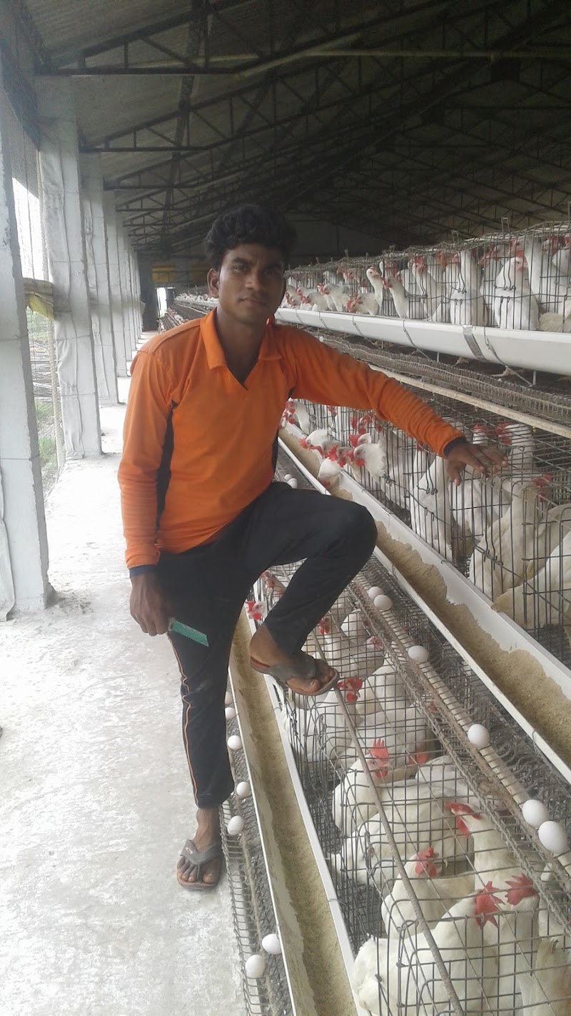 Venkatrama Poultries Limited HO office - Venkatrama Poultries Limited HO office, Raipur, Chhattisgarh 493114, India