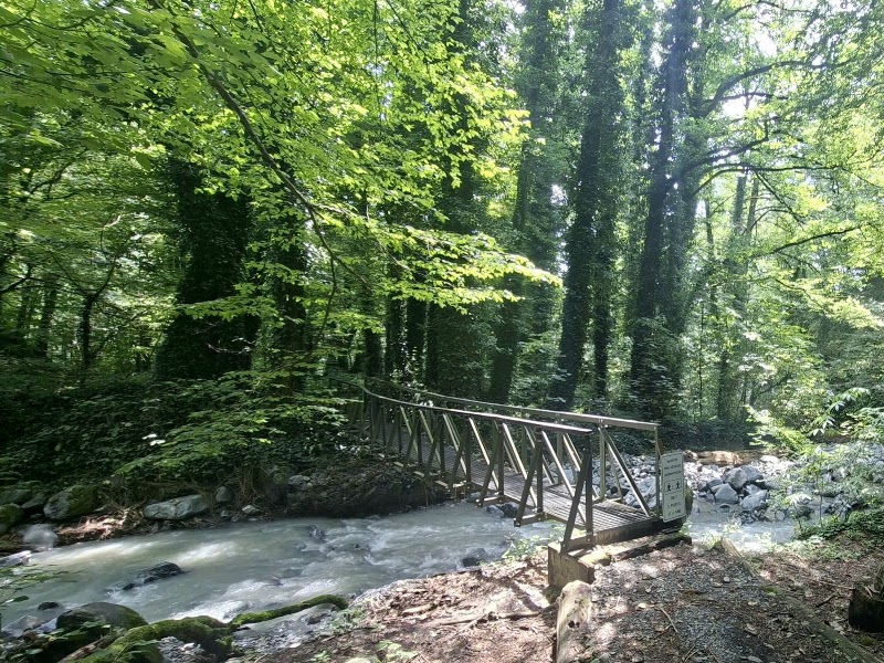Machi Fortress Trail - Machi Fortress Trail, R856+P5C, Matsimi, Georgia