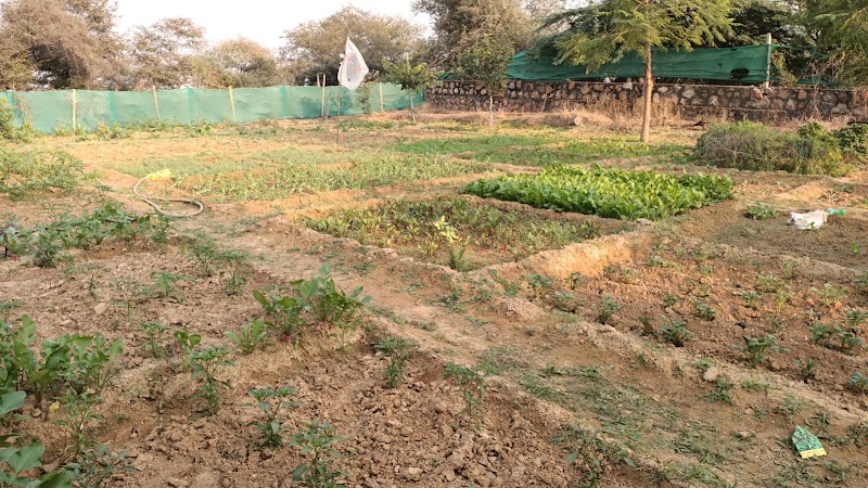 Aravali Retreat - Aravali Retreat, A 43 Aravali Retreat Near Pathways World School Raisina, Village, Gurugram, Haryana 122102, India