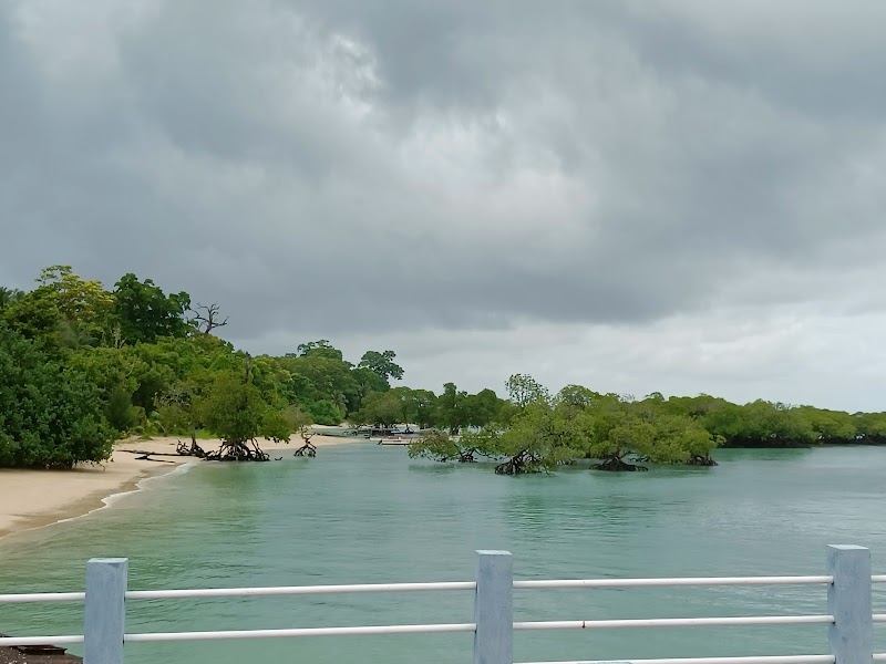 Shaheed Dweep Jetty - Shaheed Dweep Jetty, beach, neil island, R2PJ+VC5, Bharatpur, Andaman and Nicobar Islands 744104, India