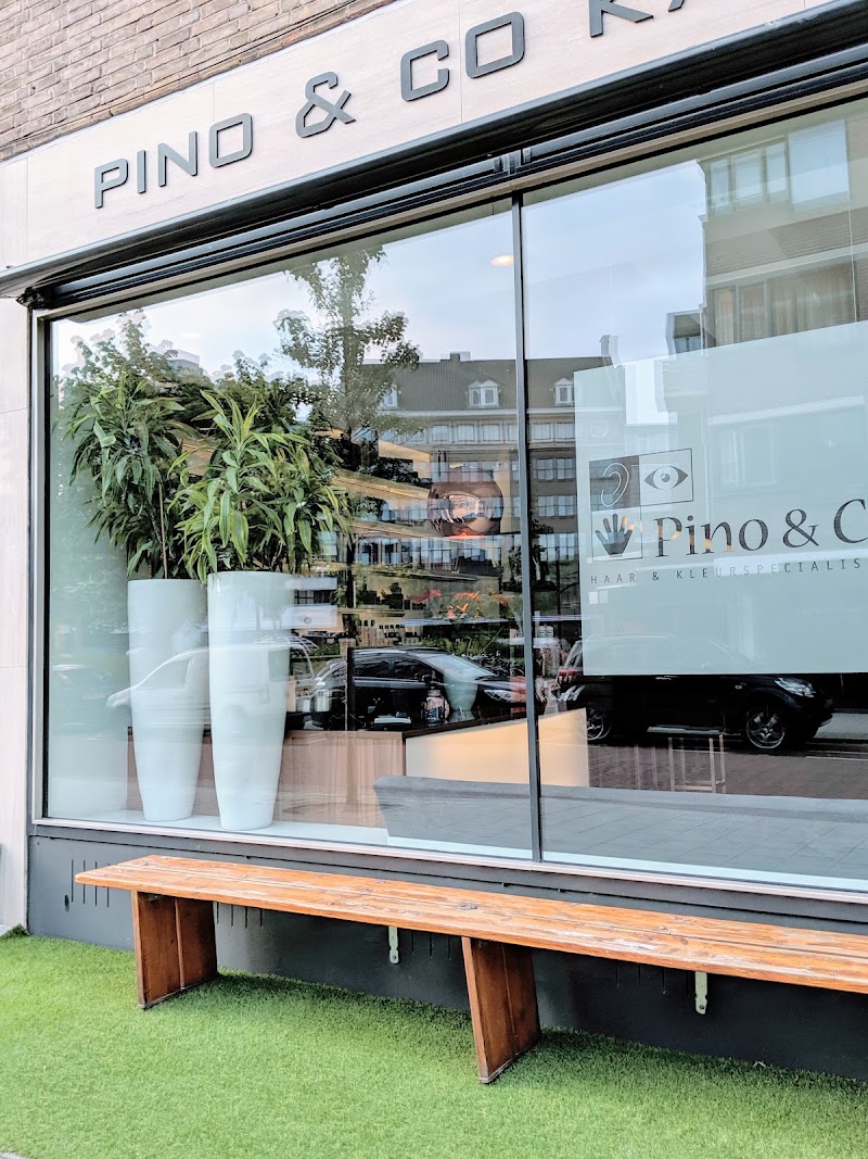 Pino & Co - Pino & Co, Herenplaats 61, 3011 LP Rotterdam, Netherlands