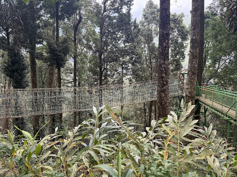 900 kandi eco park - 900 kandi eco park 900 kandi, Meppadi, Kottappadi part, Kerala 673577, India